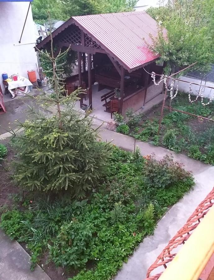 Hotel Pensiune La Rodica Costinești Exterior foto