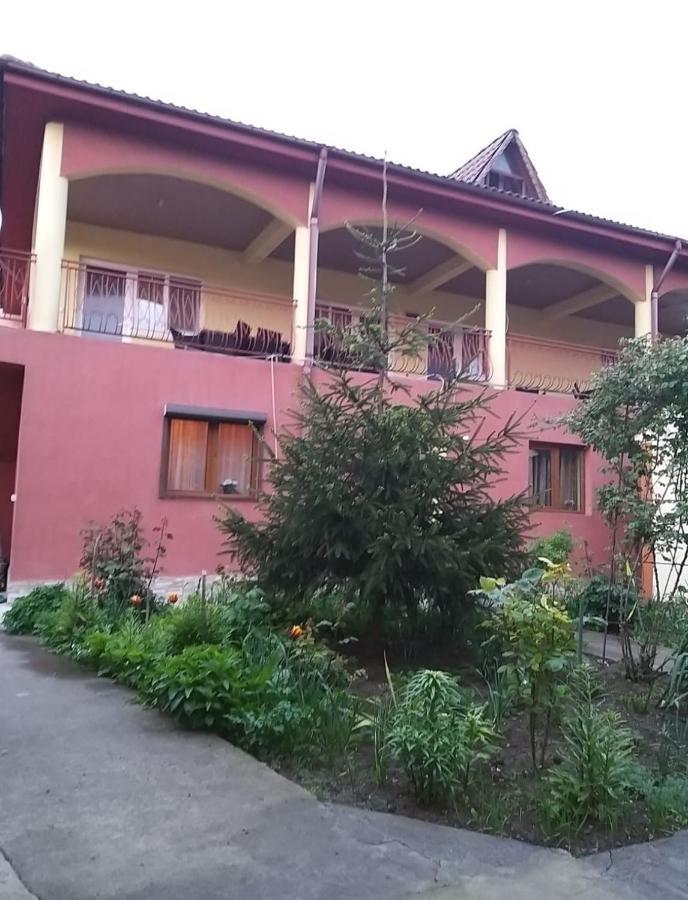 Hotel Pensiune La Rodica Costinești Exterior foto